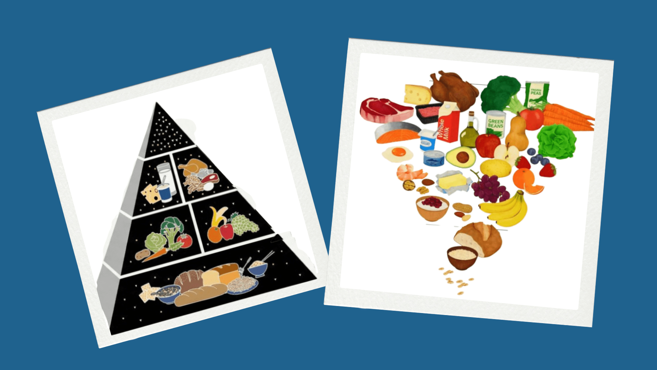 Leia mais sobre o artigo Diretrizes Alimentares Americanas: 30 Anos de Erros e Correções (1992-2026)